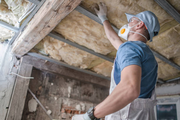 Best Attic Insulation Installation  in Hideaway, TX