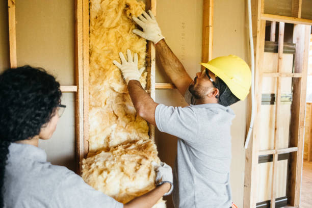 Best Batt and Roll Insulation  in Hideaway, TX