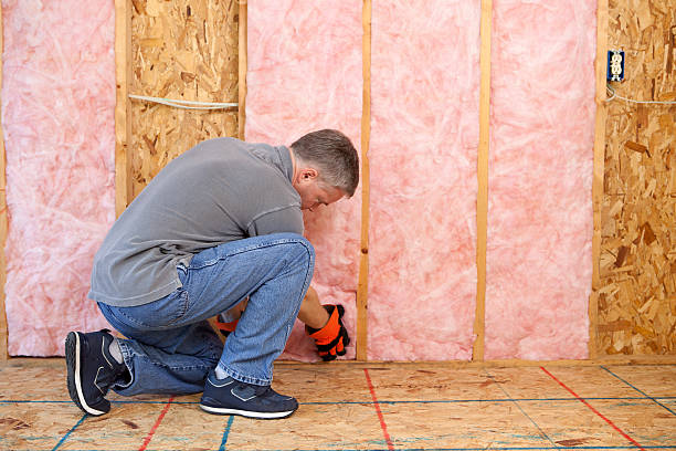 Best Insulation for Existing Homes  in Hideaway, TX